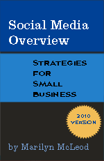 Social Media Overview:  Strategies for Small Business by Marilyn McLeod